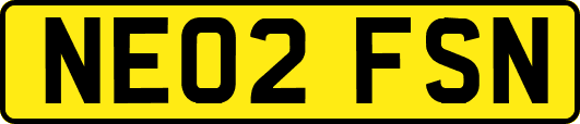 NE02FSN