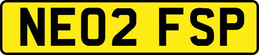 NE02FSP