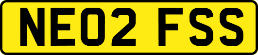 NE02FSS