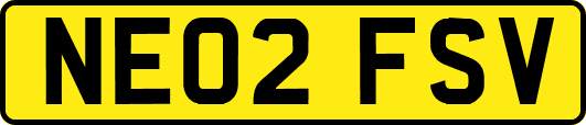 NE02FSV