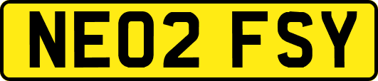 NE02FSY