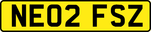 NE02FSZ