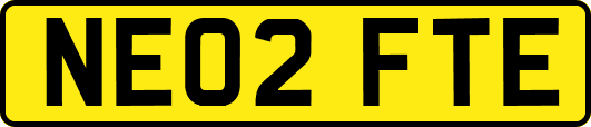 NE02FTE