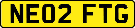 NE02FTG
