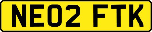 NE02FTK