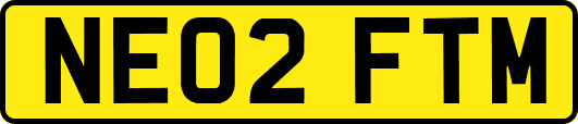 NE02FTM