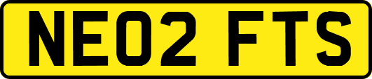NE02FTS