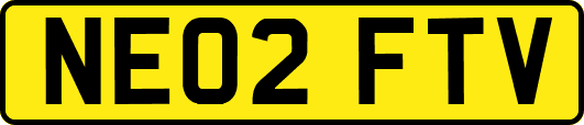 NE02FTV