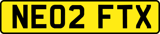 NE02FTX