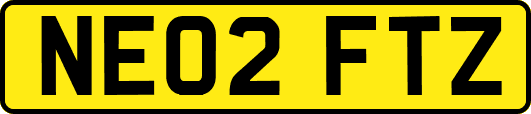 NE02FTZ