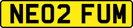 NE02FUM