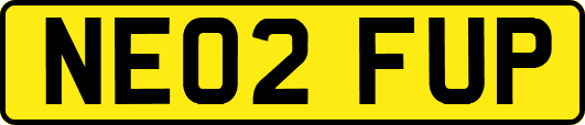 NE02FUP