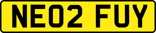 NE02FUY