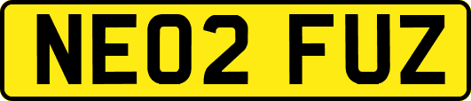 NE02FUZ