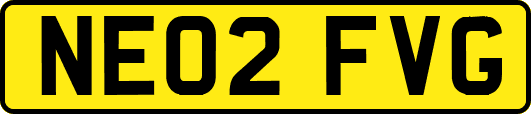 NE02FVG