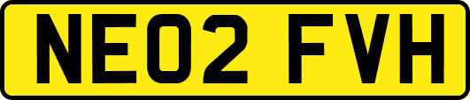 NE02FVH