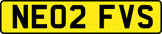 NE02FVS