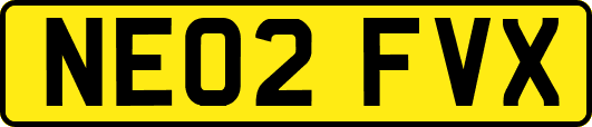 NE02FVX