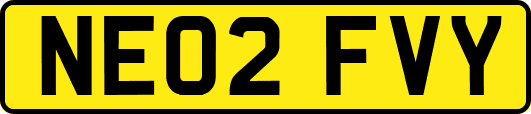 NE02FVY