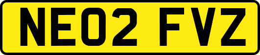 NE02FVZ