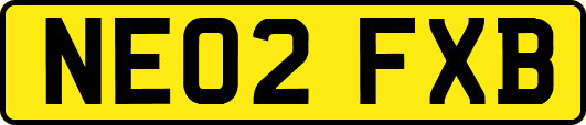 NE02FXB