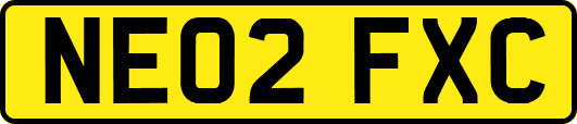 NE02FXC