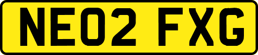 NE02FXG