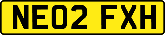 NE02FXH