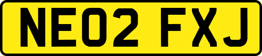 NE02FXJ