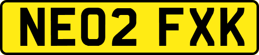NE02FXK