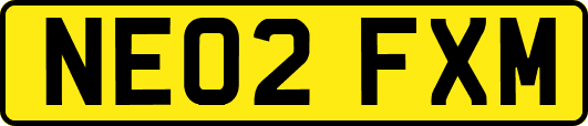 NE02FXM