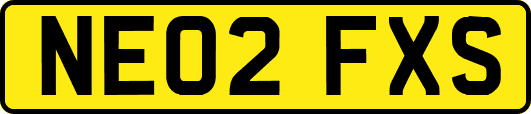 NE02FXS