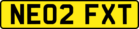 NE02FXT