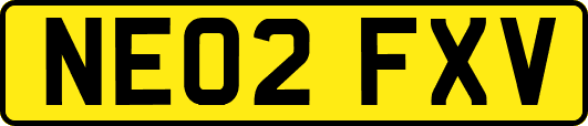 NE02FXV