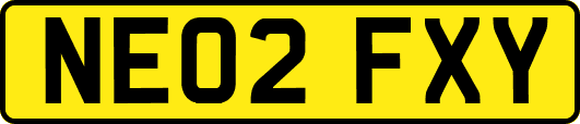 NE02FXY