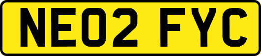 NE02FYC