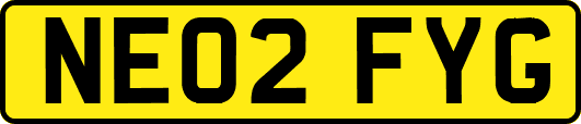 NE02FYG