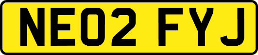 NE02FYJ