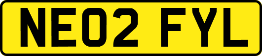 NE02FYL