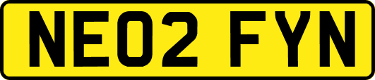NE02FYN