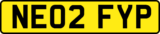 NE02FYP