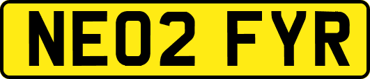 NE02FYR