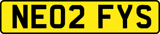 NE02FYS