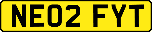 NE02FYT