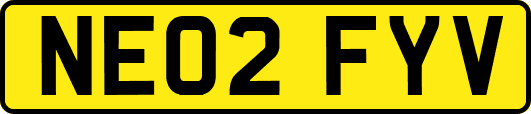 NE02FYV