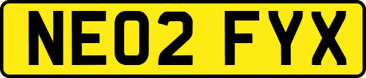 NE02FYX
