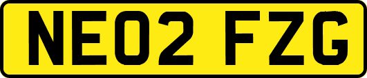 NE02FZG