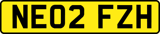 NE02FZH