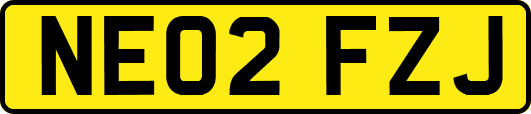 NE02FZJ