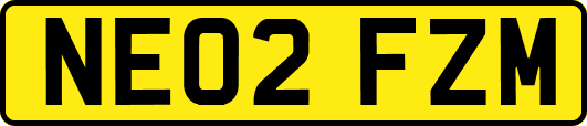 NE02FZM